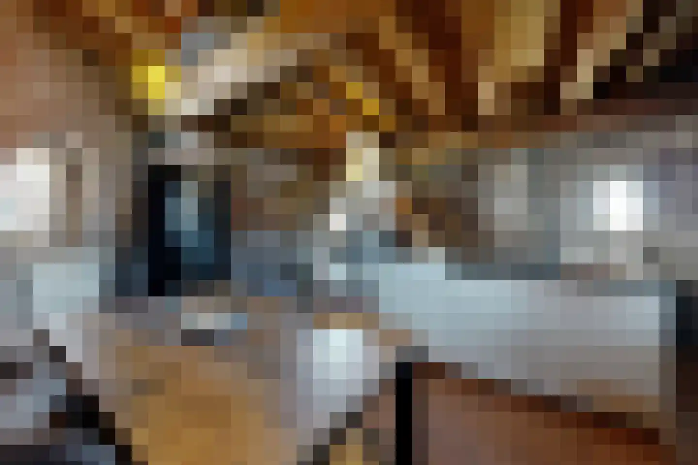 Lage Wipstraat 80 Zevenbergen thumbnail 27