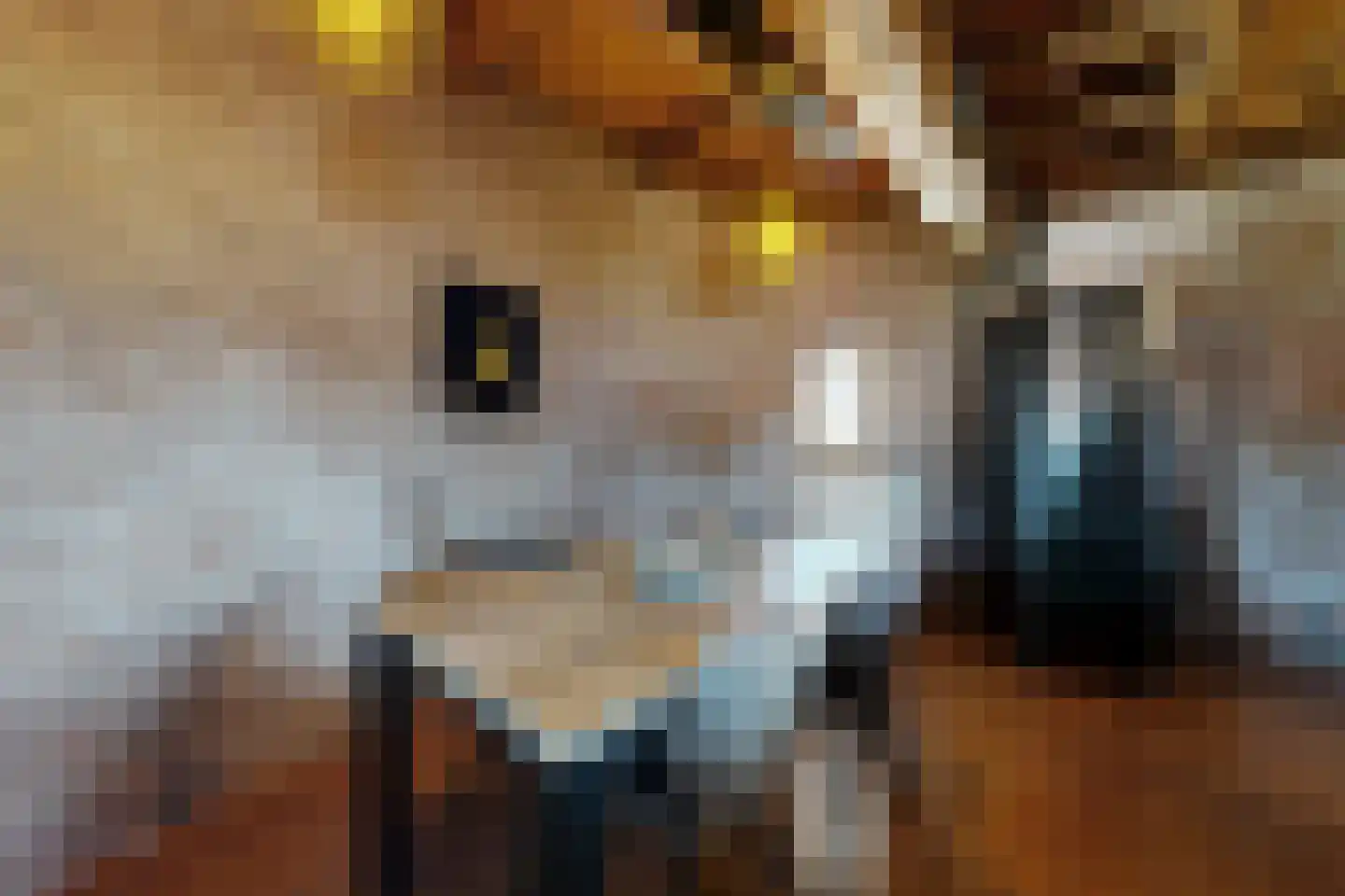 Lage Wipstraat 80 Zevenbergen thumbnail 29