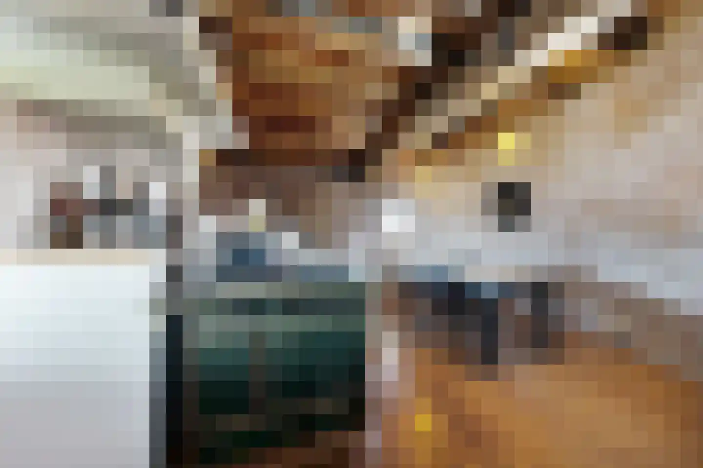 Lage Wipstraat 80 Zevenbergen thumbnail 30