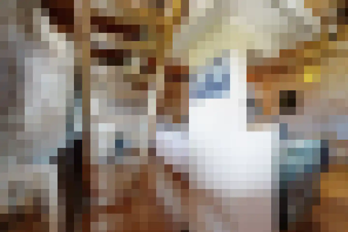 Lage Wipstraat 80 Zevenbergen thumbnail 31