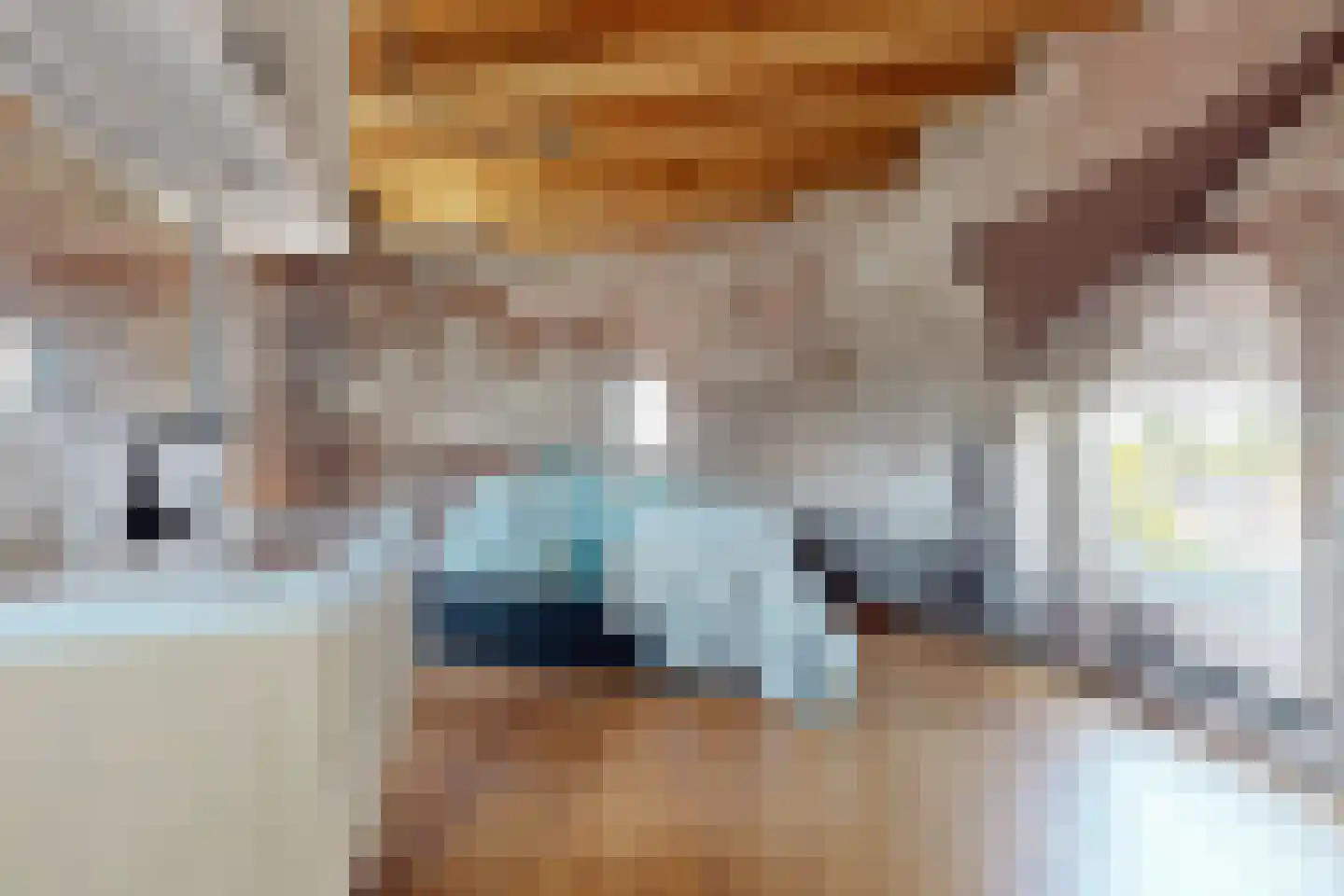 Lage Wipstraat 80 Zevenbergen thumbnail 35