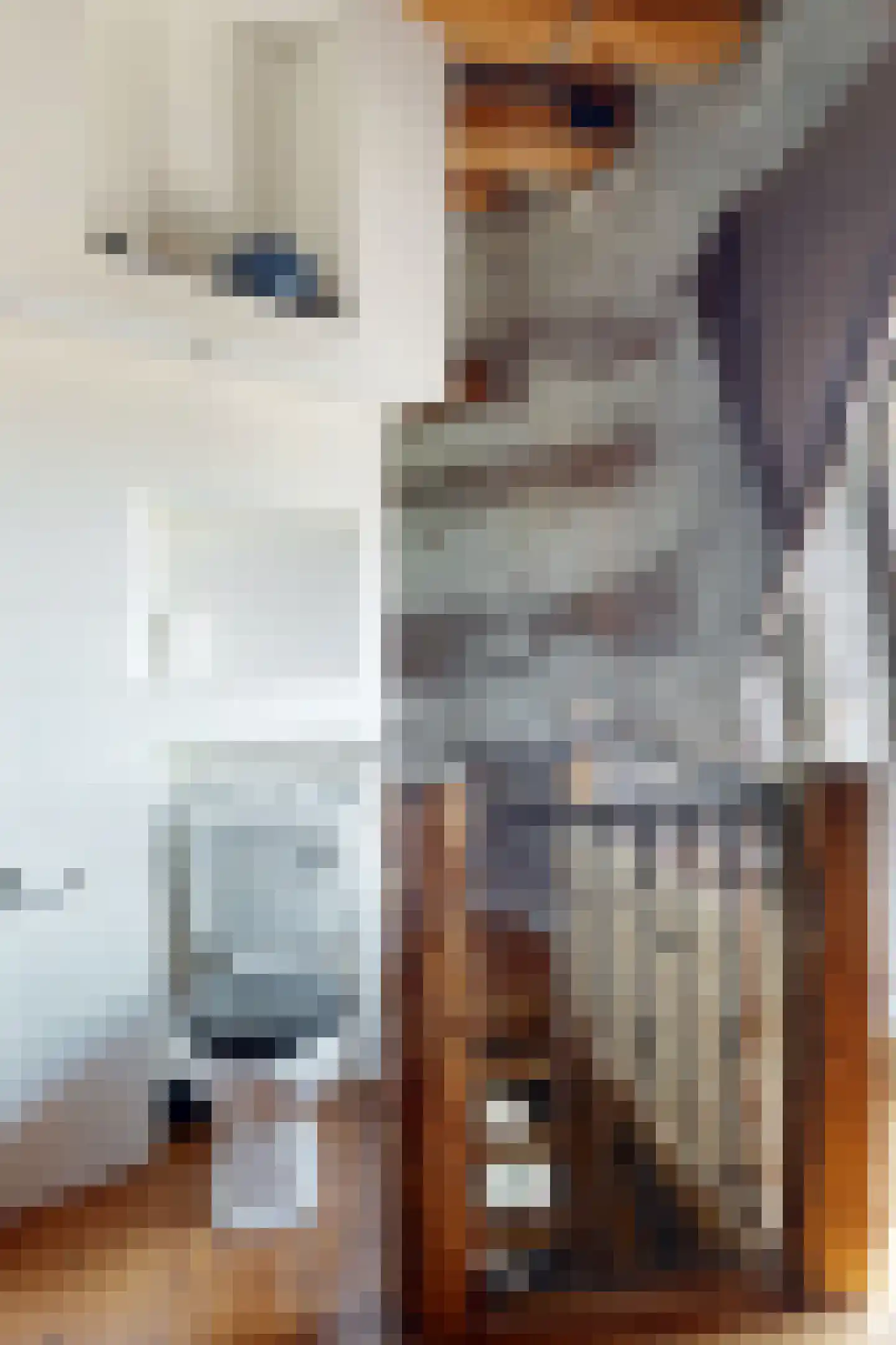 Lage Wipstraat 80 Zevenbergen thumbnail 36