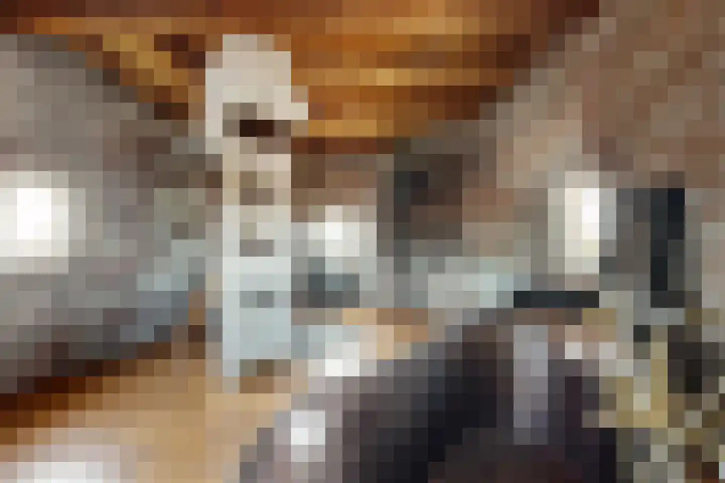 Lage Wipstraat 80 Zevenbergen thumbnail 4