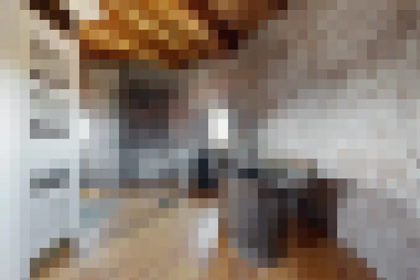 Lage Wipstraat 80 Zevenbergen thumbnail 41