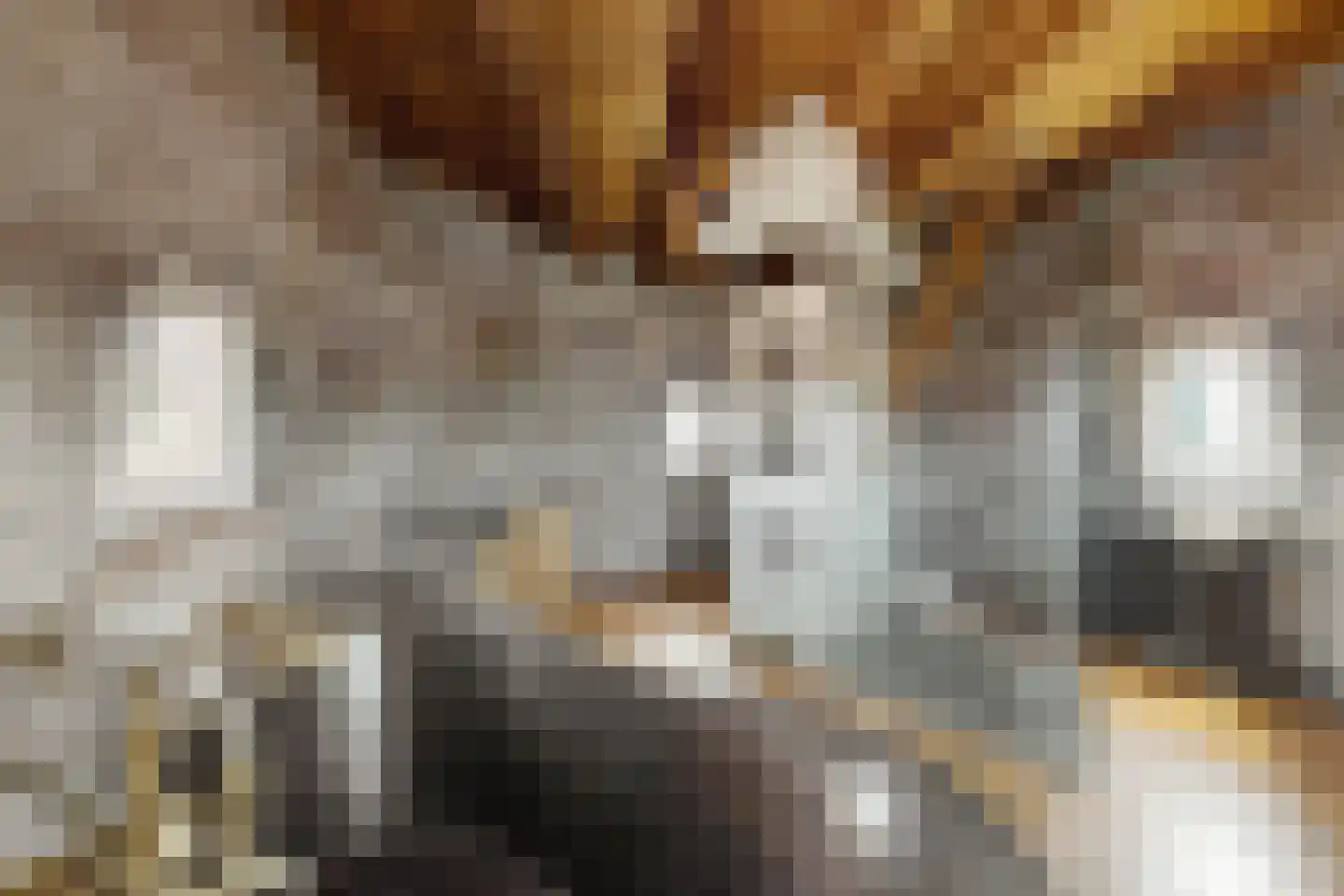 Lage Wipstraat 80 Zevenbergen thumbnail 43