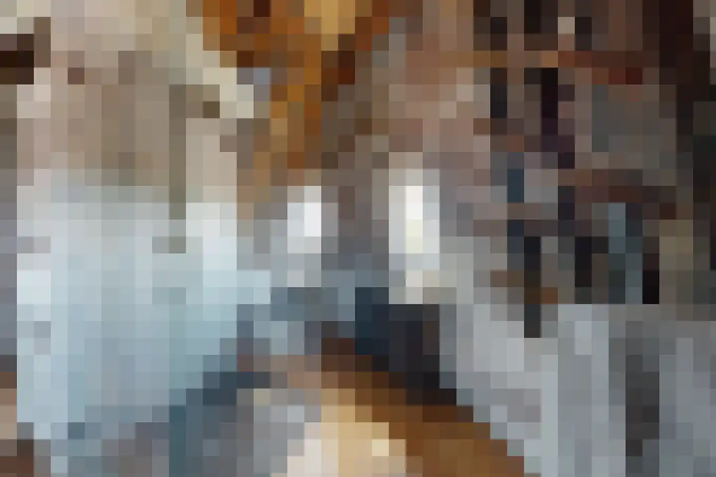 Lage Wipstraat 80 Zevenbergen thumbnail 45