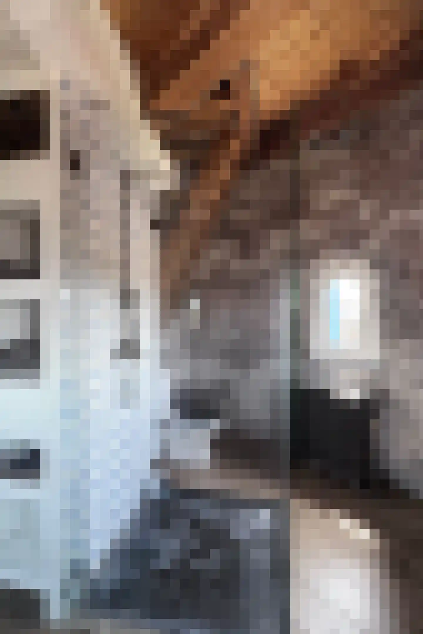 Lage Wipstraat 80 Zevenbergen thumbnail 46