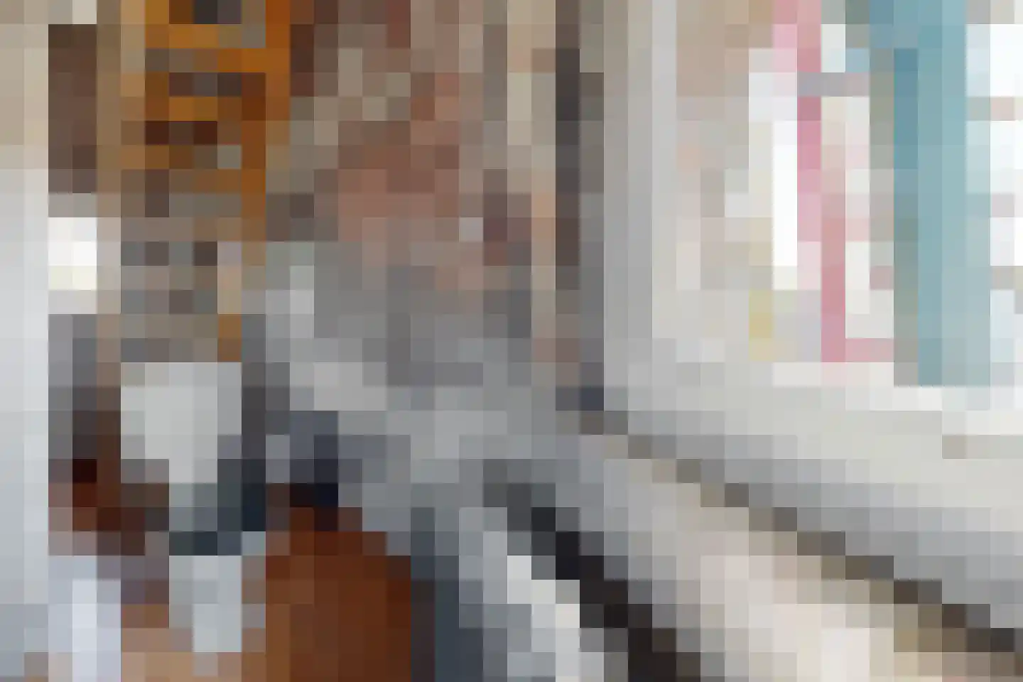 Lage Wipstraat 80 Zevenbergen thumbnail 48