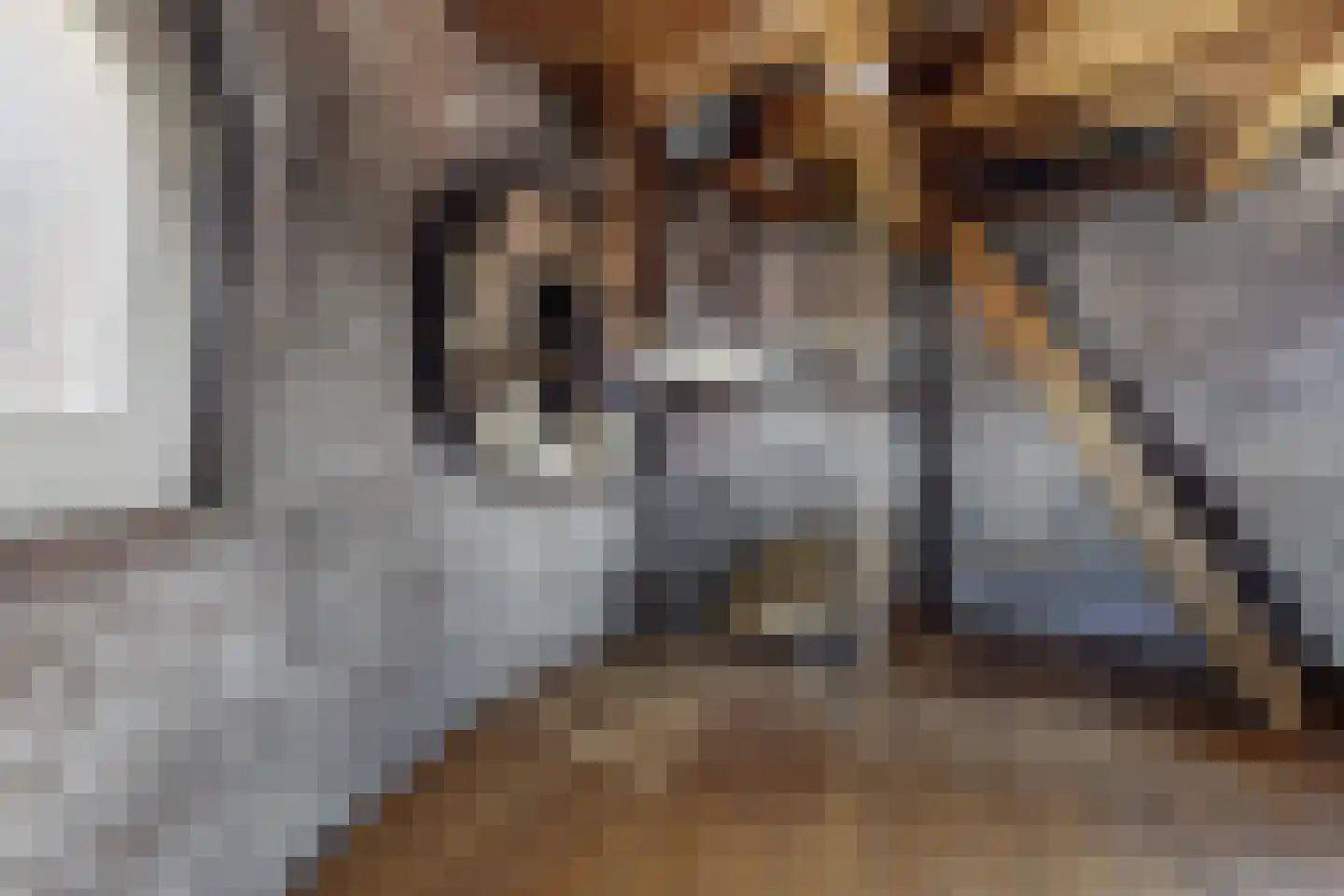 Lage Wipstraat 80 Zevenbergen thumbnail 49