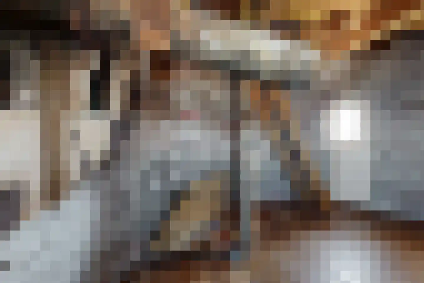 Lage Wipstraat 80 Zevenbergen thumbnail 50