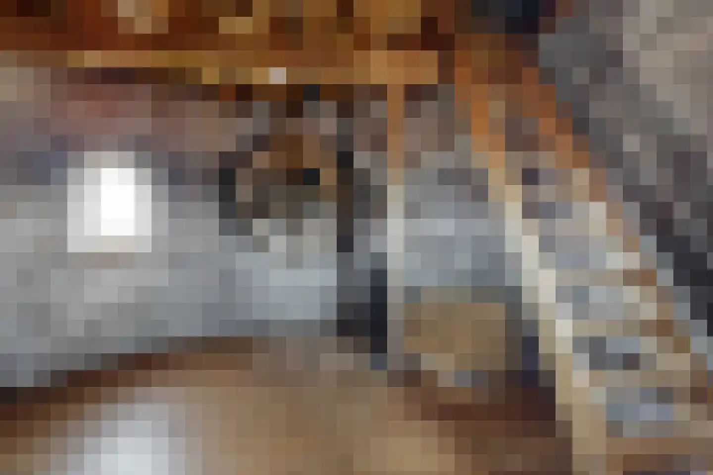 Lage Wipstraat 80 Zevenbergen thumbnail 52