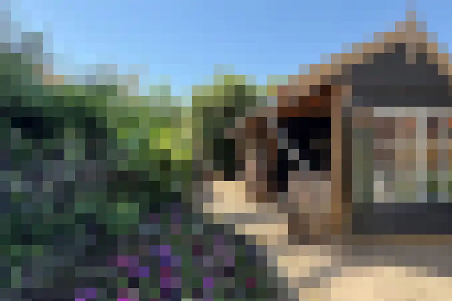 Lage Wipstraat 80 Zevenbergen thumbnail 61