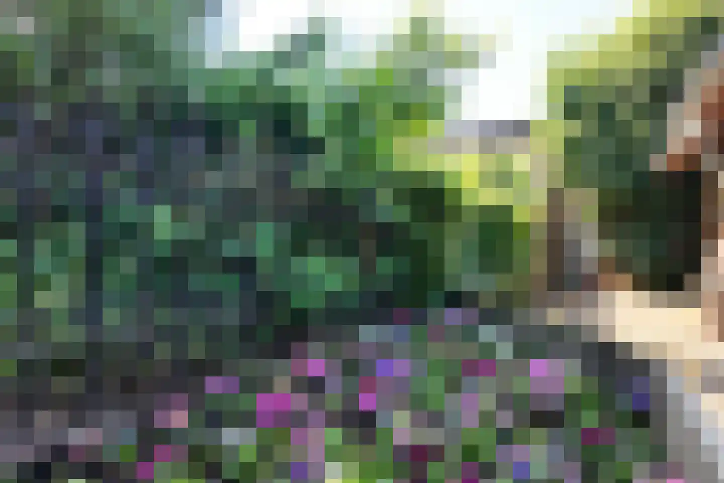 Lage Wipstraat 80 Zevenbergen thumbnail 62