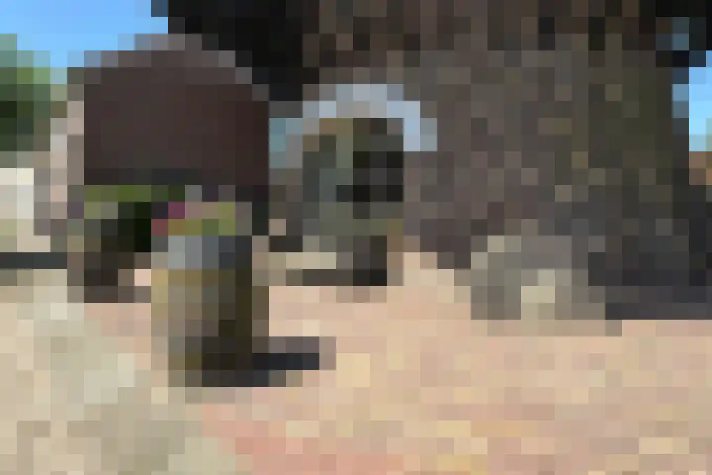 Lage Wipstraat 80 Zevenbergen thumbnail 65