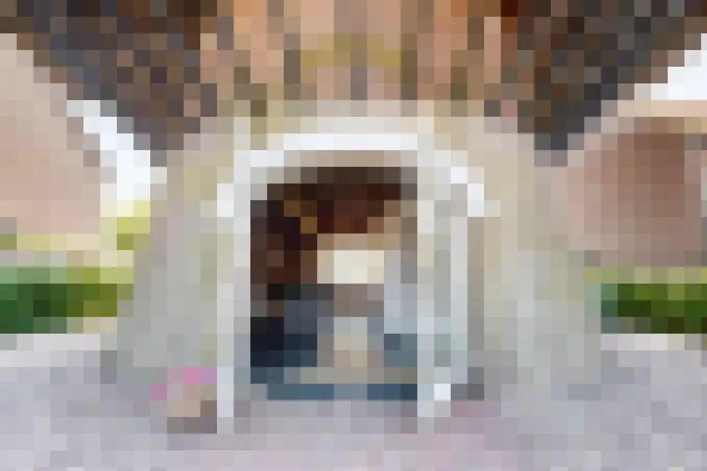 Lage Wipstraat 80 Zevenbergen thumbnail 7