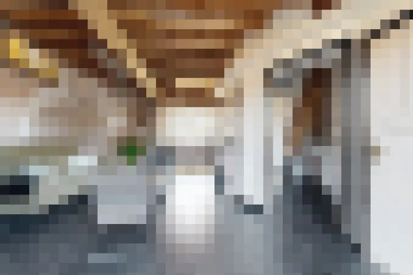 Lage Wipstraat 80 Zevenbergen thumbnail 9
