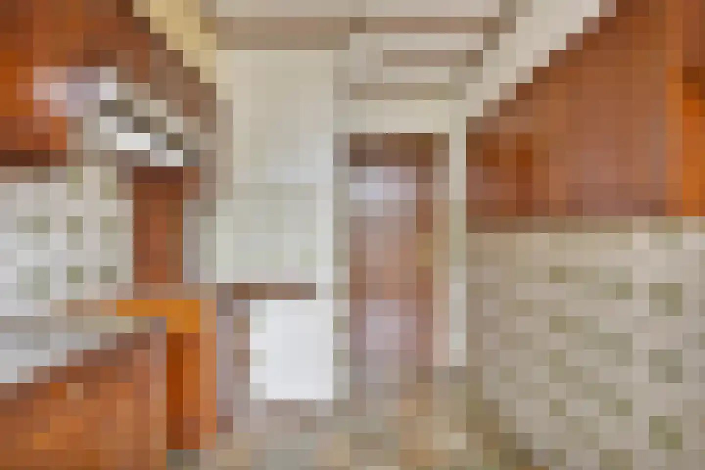 Lage Witsiebaan 137 Tilburg thumbnail 17