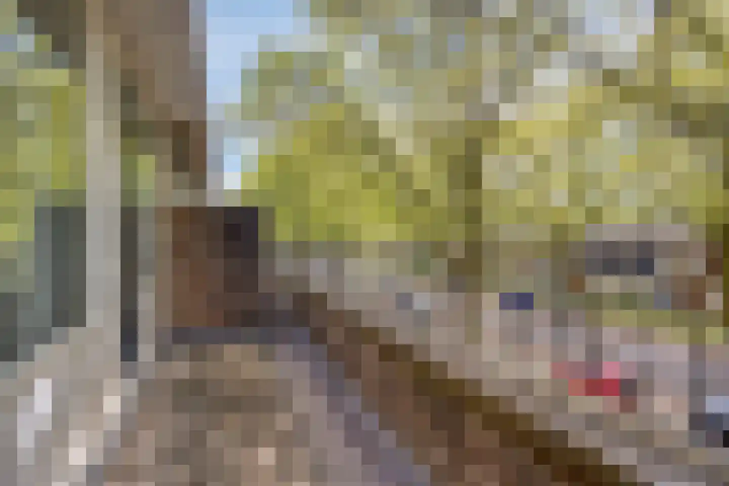 Lage Witsiebaan 137 Tilburg thumbnail 35