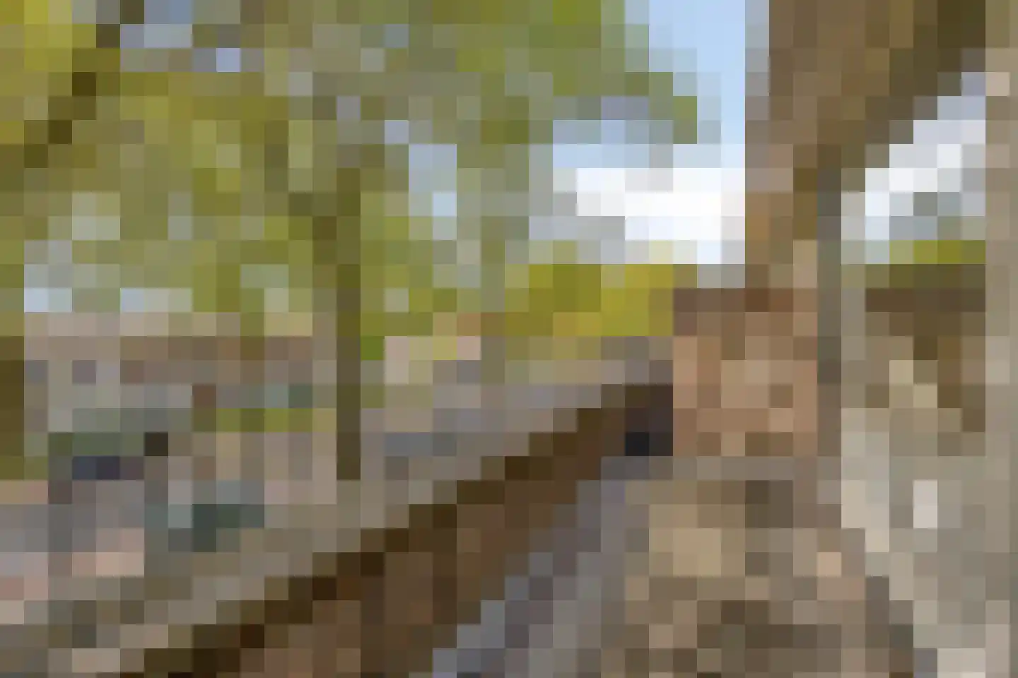 Lage Witsiebaan 137 Tilburg thumbnail 36