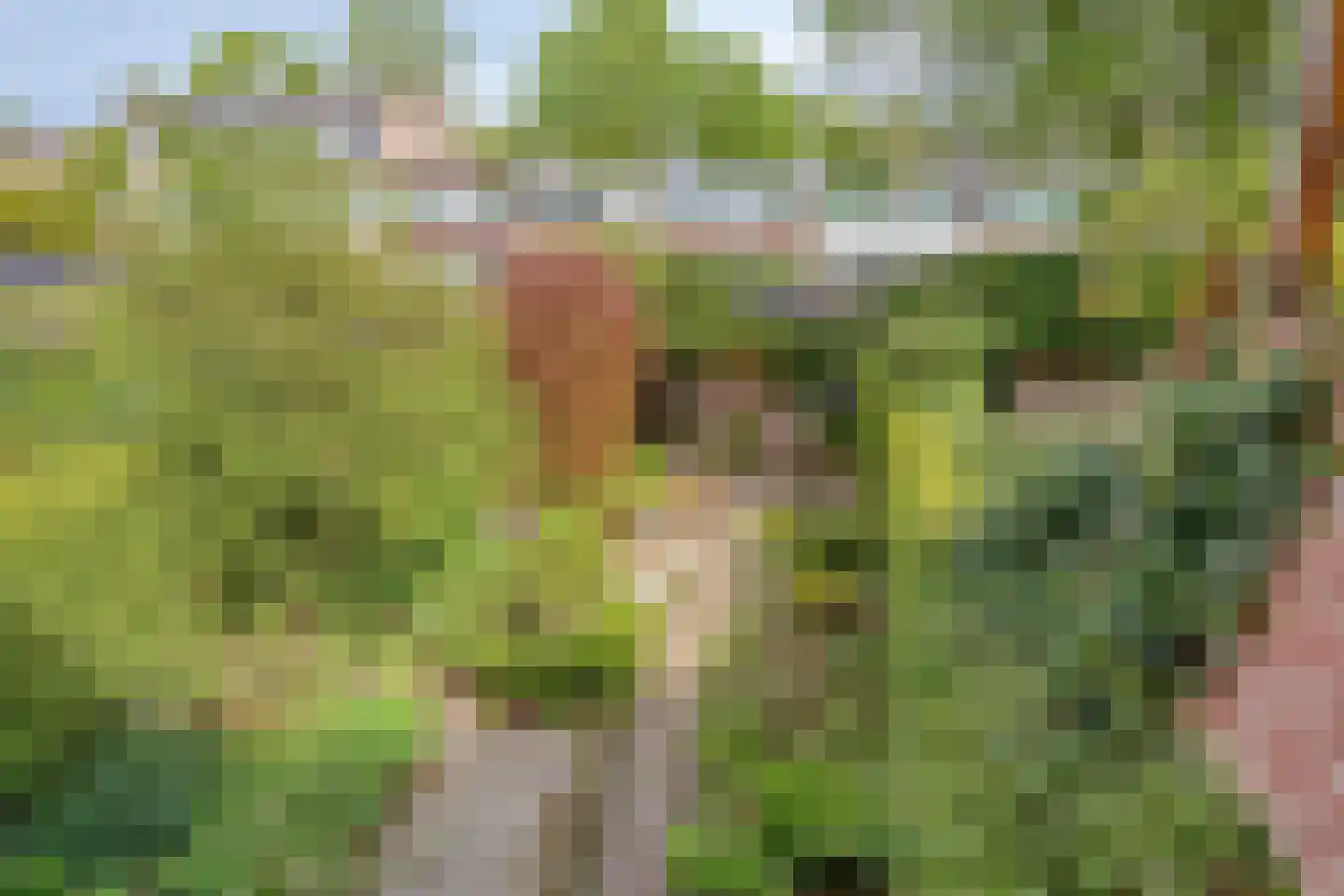 Lage Witsiebaan 137 Tilburg thumbnail 40