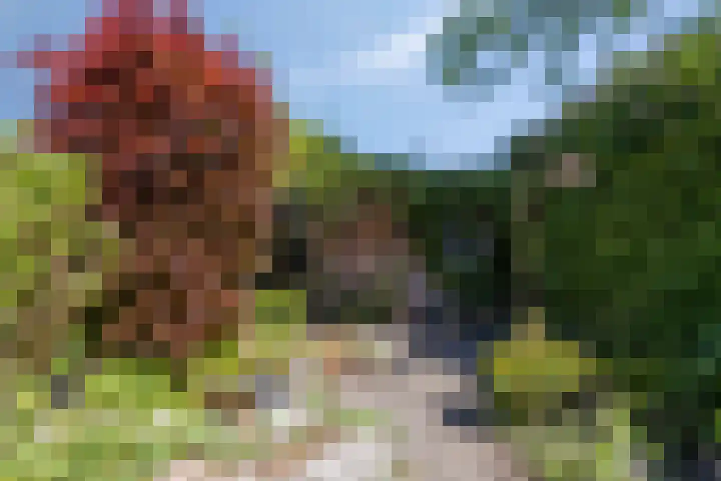 Lage Witsiebaan 137 Tilburg thumbnail 41