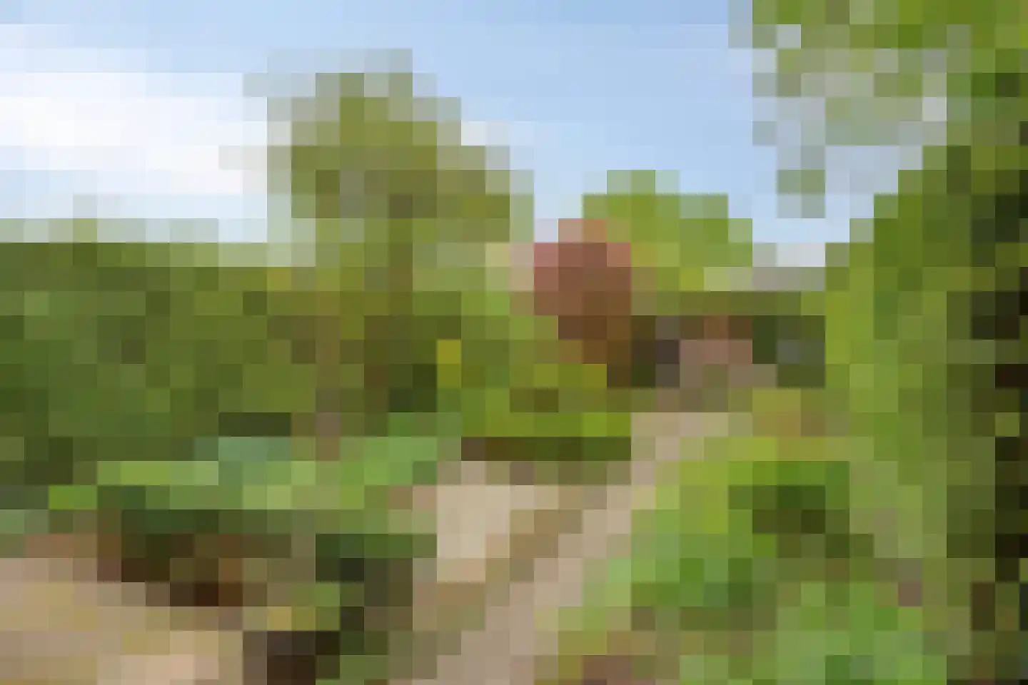 Lage Witsiebaan 137 Tilburg thumbnail 42