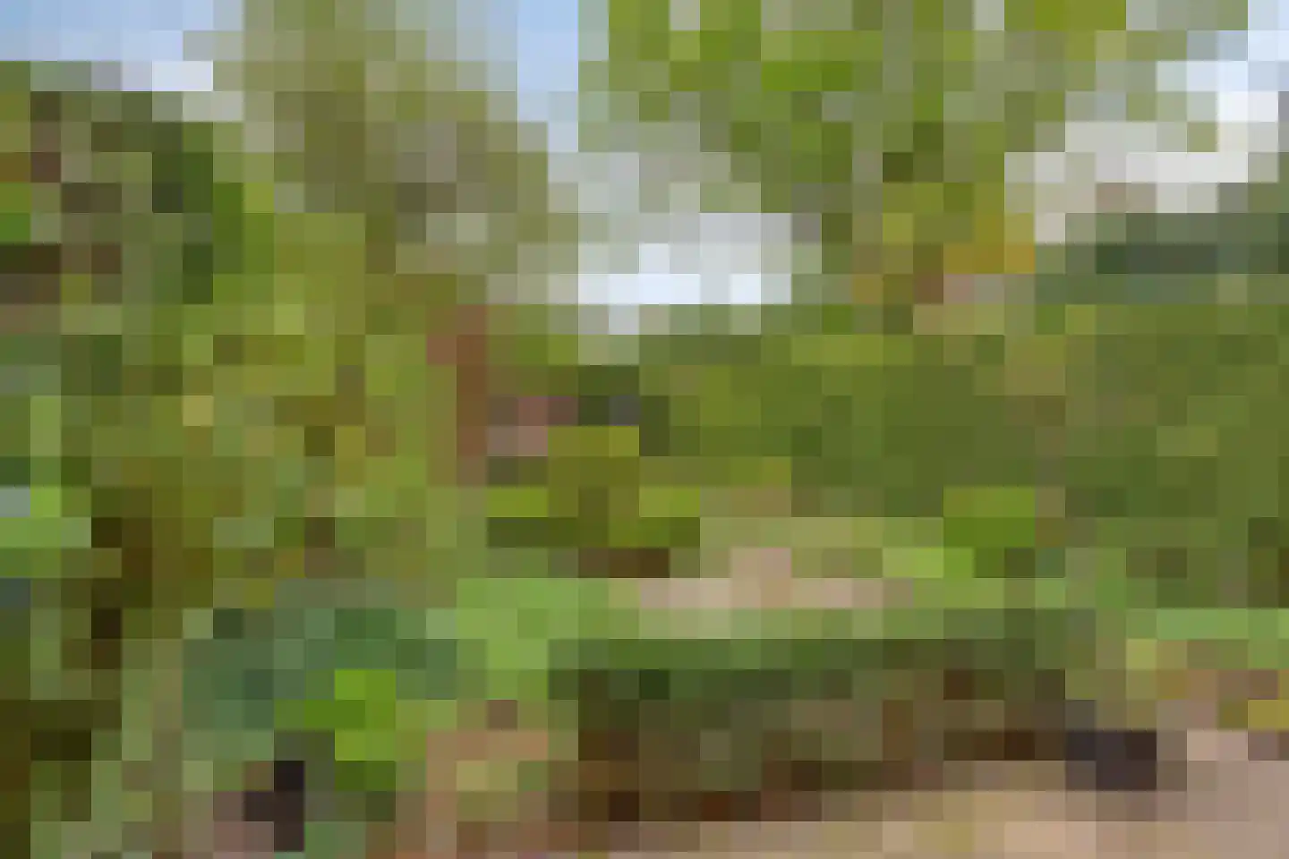 Lage Witsiebaan 137 Tilburg thumbnail 43