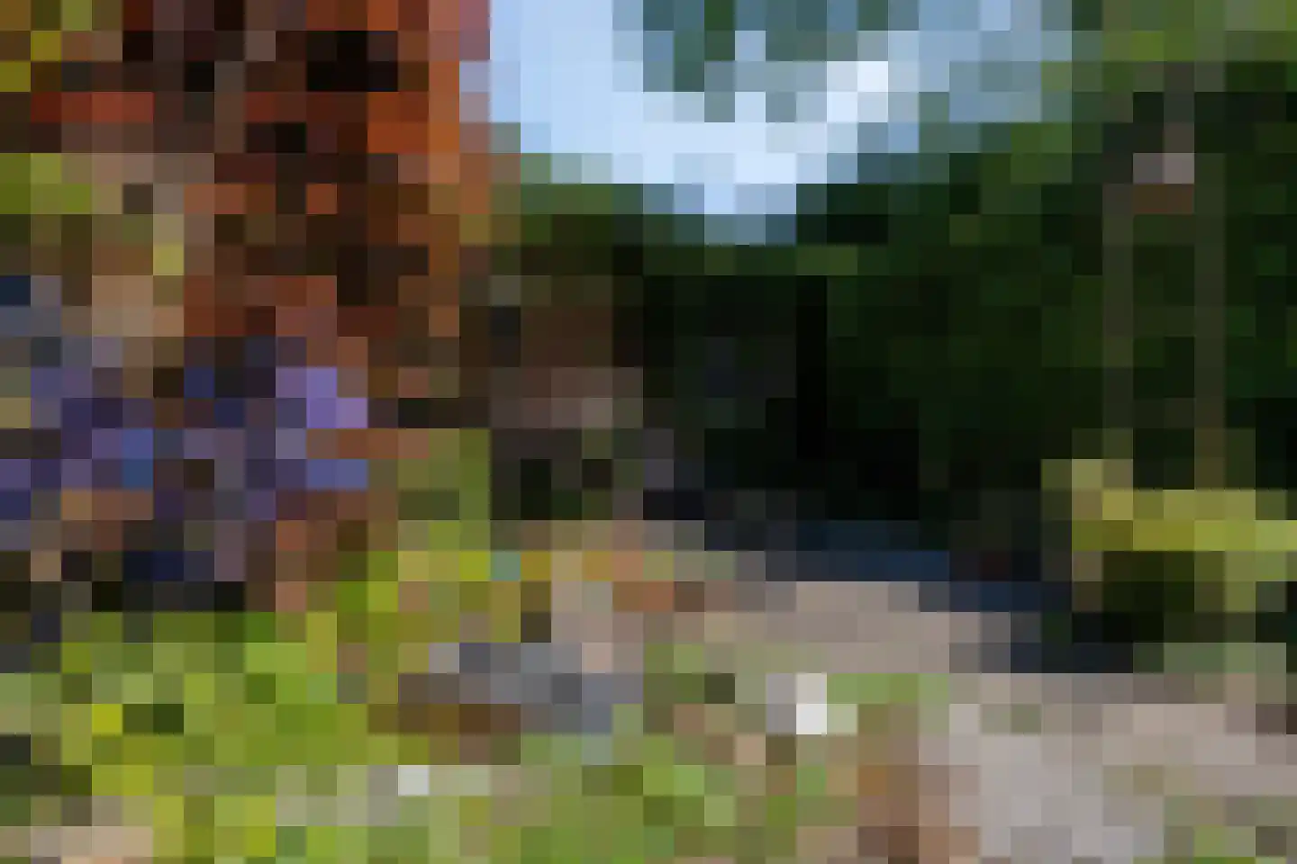 Lage Witsiebaan 137 Tilburg thumbnail 5