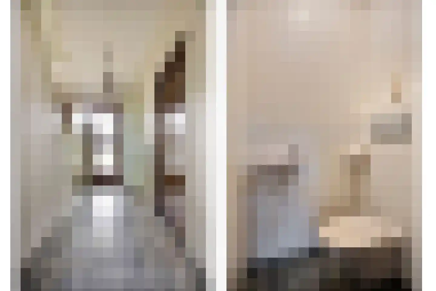 Lage Witsiebaan 137 Tilburg thumbnail 8