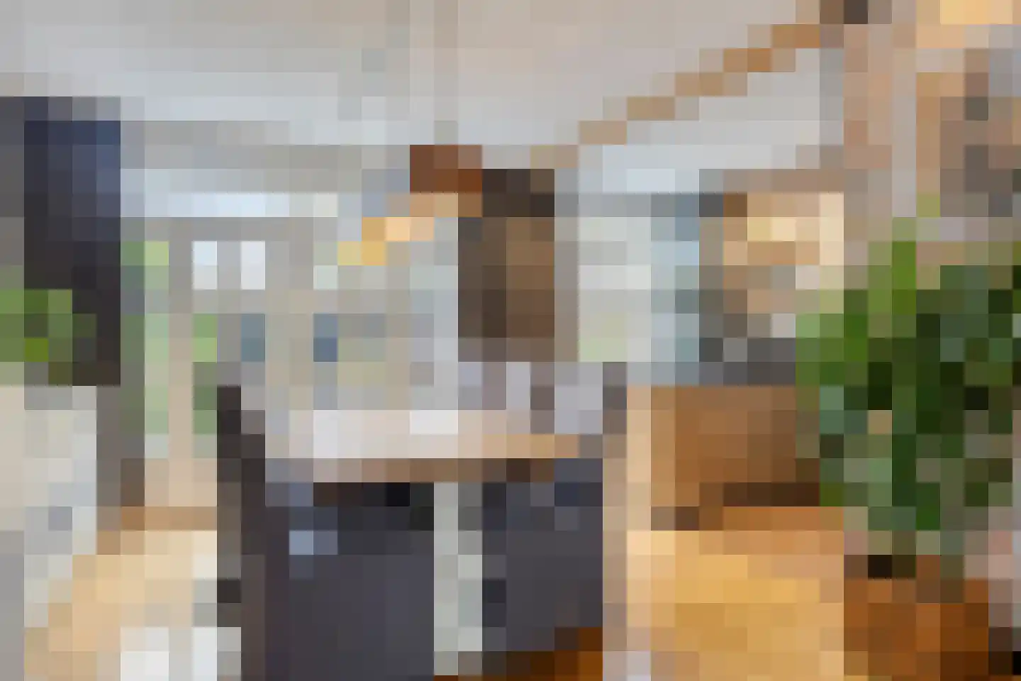 Lage Witsiebaan 240 Tilburg thumbnail 12