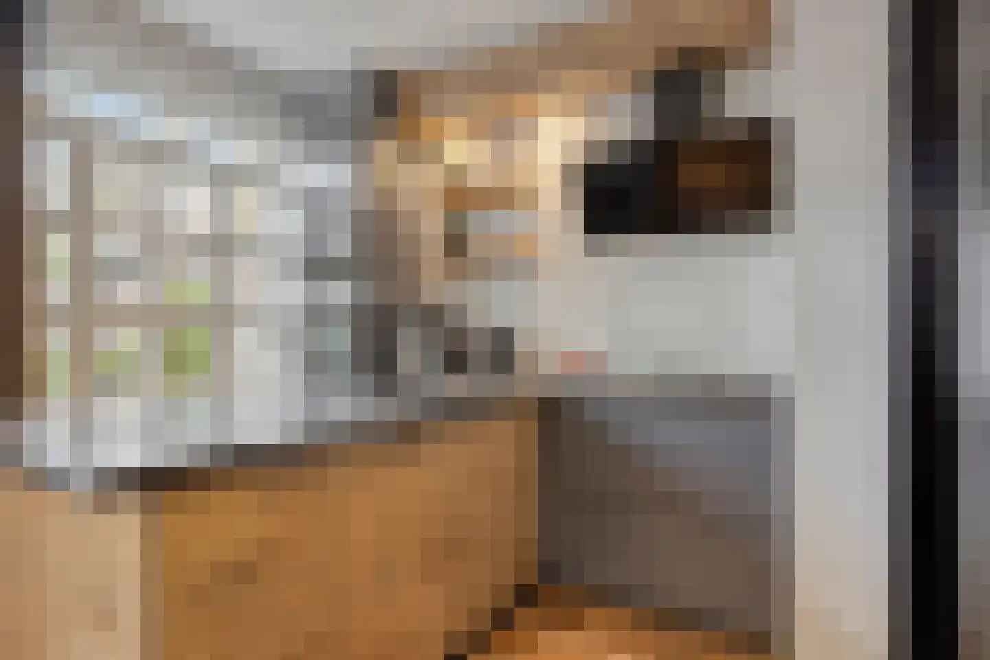 Lage Witsiebaan 240 Tilburg thumbnail 15