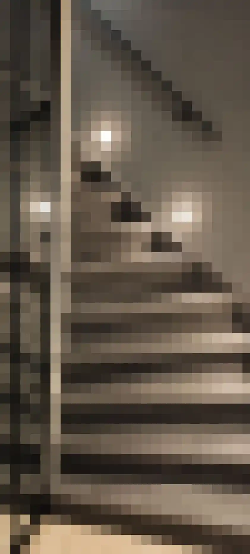 Lage Witsiebaan 240 Tilburg thumbnail 17