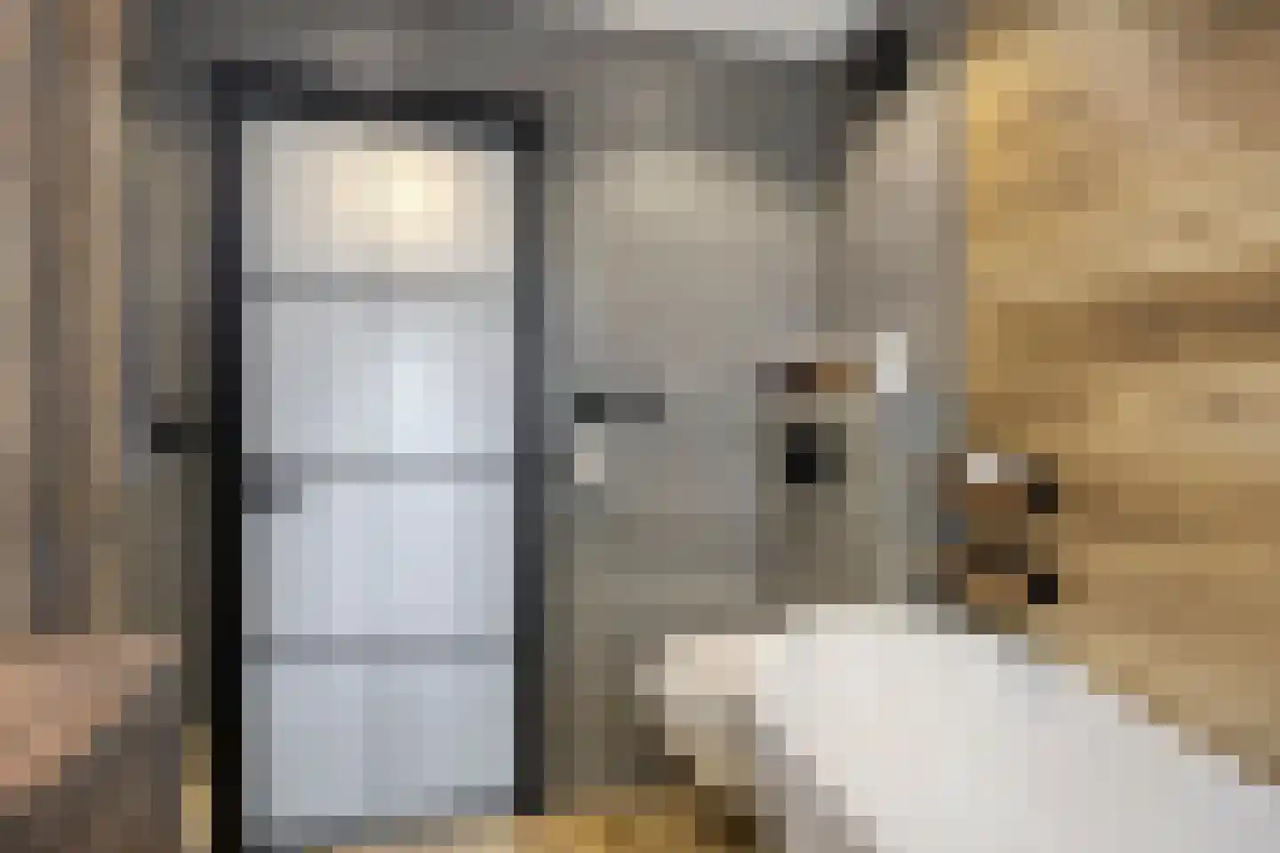 Lage Witsiebaan 240 Tilburg thumbnail 24