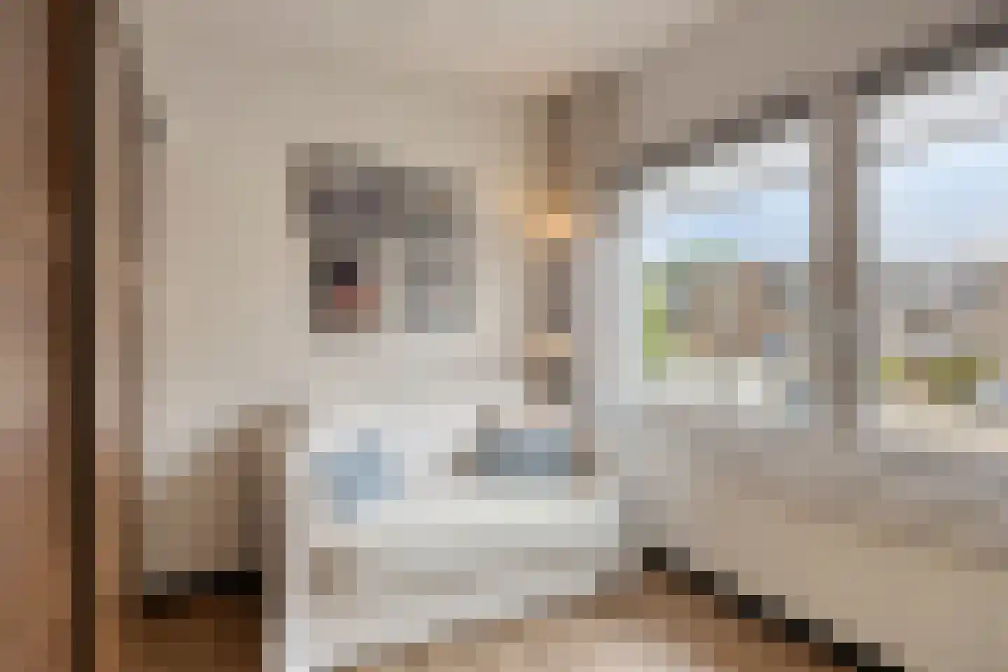 Lage Witsiebaan 240 Tilburg thumbnail 25