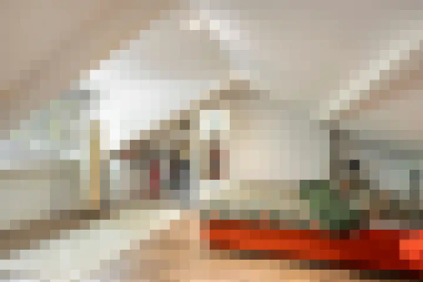 Lage Witsiebaan 240 Tilburg thumbnail 30