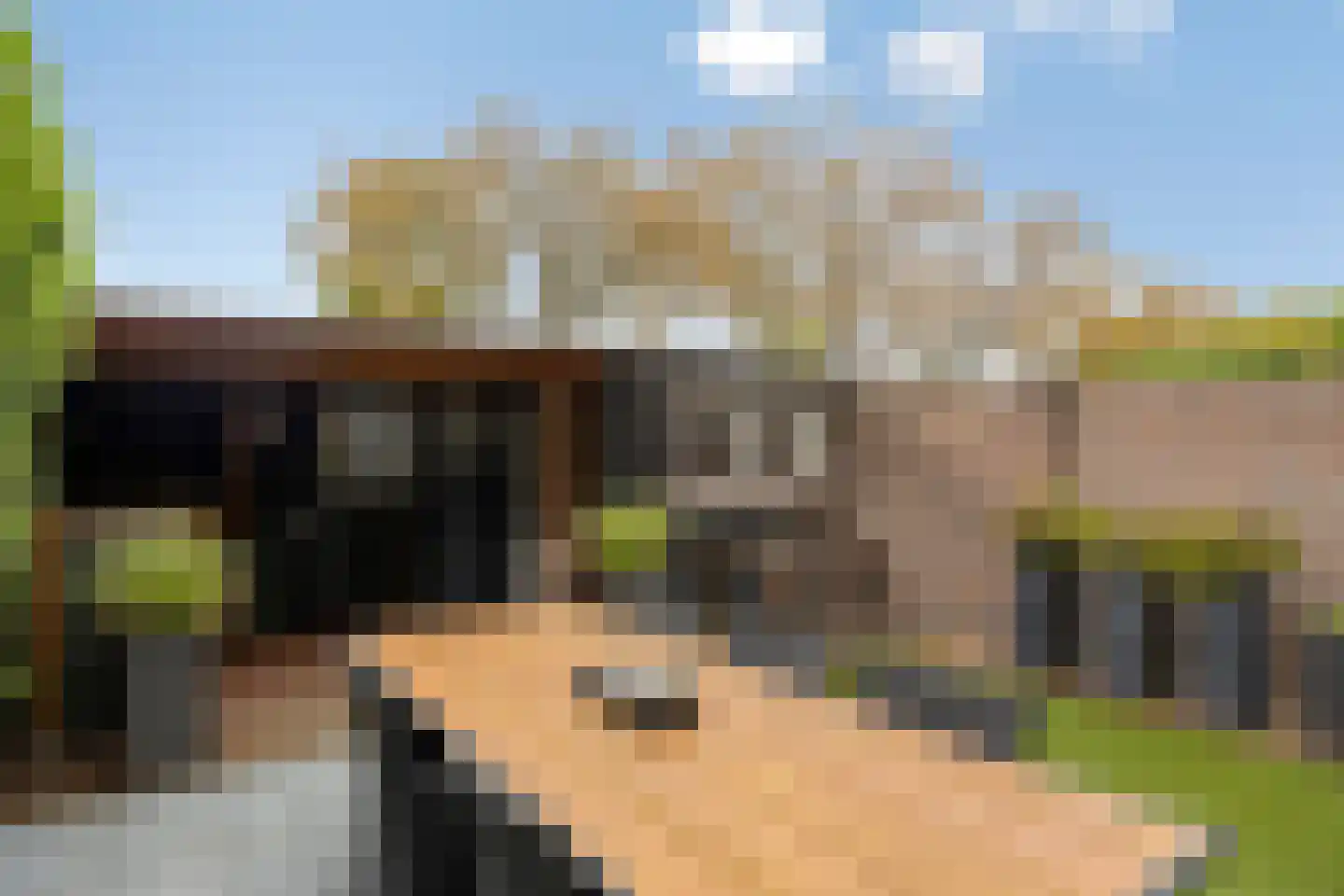 Lage Witsiebaan 240 Tilburg thumbnail 32