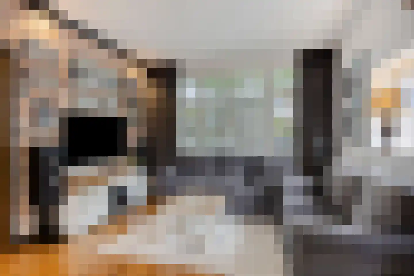 Lage Witsiebaan 240 Tilburg thumbnail 9