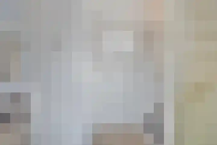 Lage Witsiebaan 242 Tilburg thumbnail 17