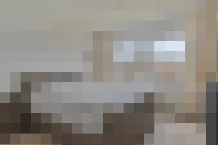 Lage Witsiebaan 242 Tilburg thumbnail 18