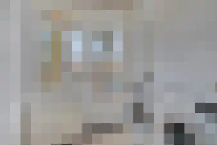 Lage Witsiebaan 242 Tilburg thumbnail 22