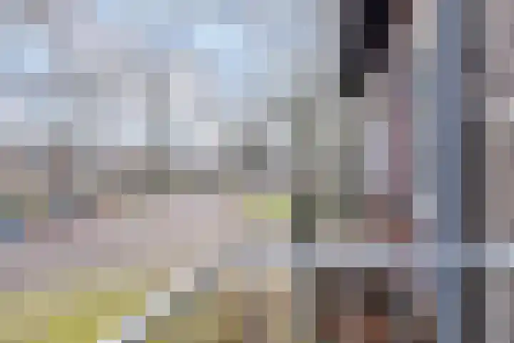 Lage Witsiebaan 242 Tilburg thumbnail 23