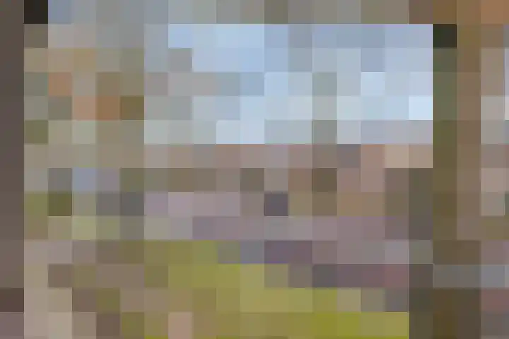 Lage Witsiebaan 242 Tilburg thumbnail 24