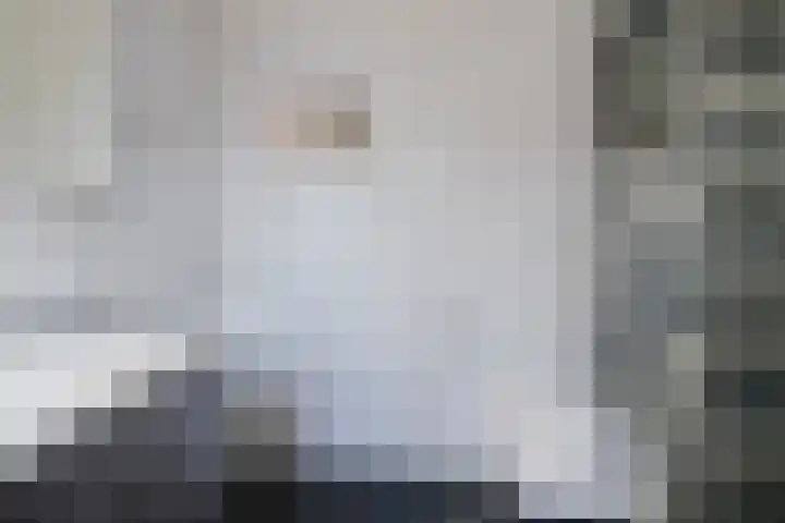 Lage Witsiebaan 242 Tilburg thumbnail 26