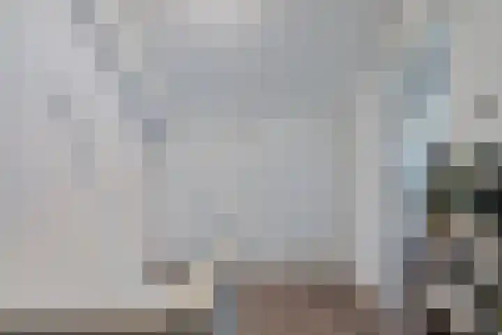 Lage Witsiebaan 242 Tilburg thumbnail 28