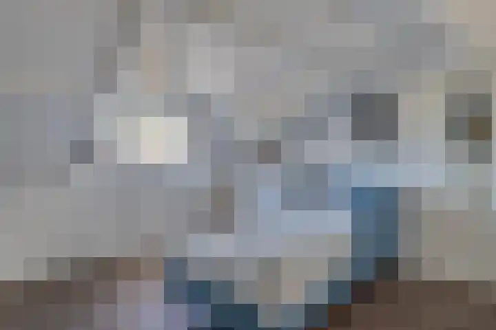 Lage Witsiebaan 242 Tilburg thumbnail 30