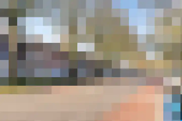 Lage Witsiebaan 242 Tilburg thumbnail 6