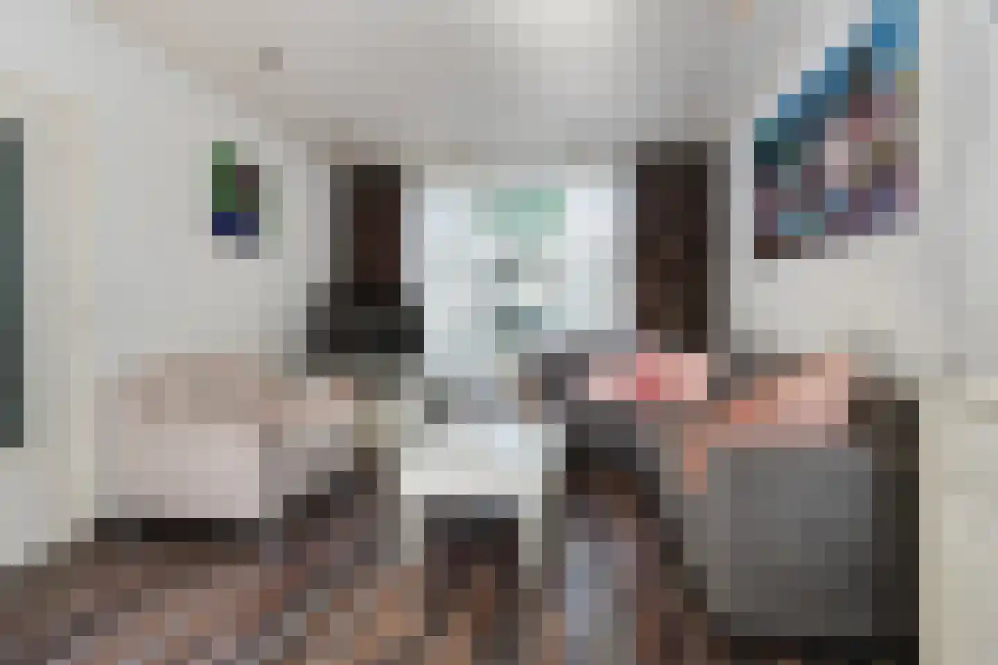 Lage Witsiebaan 252 Tilburg thumbnail 11