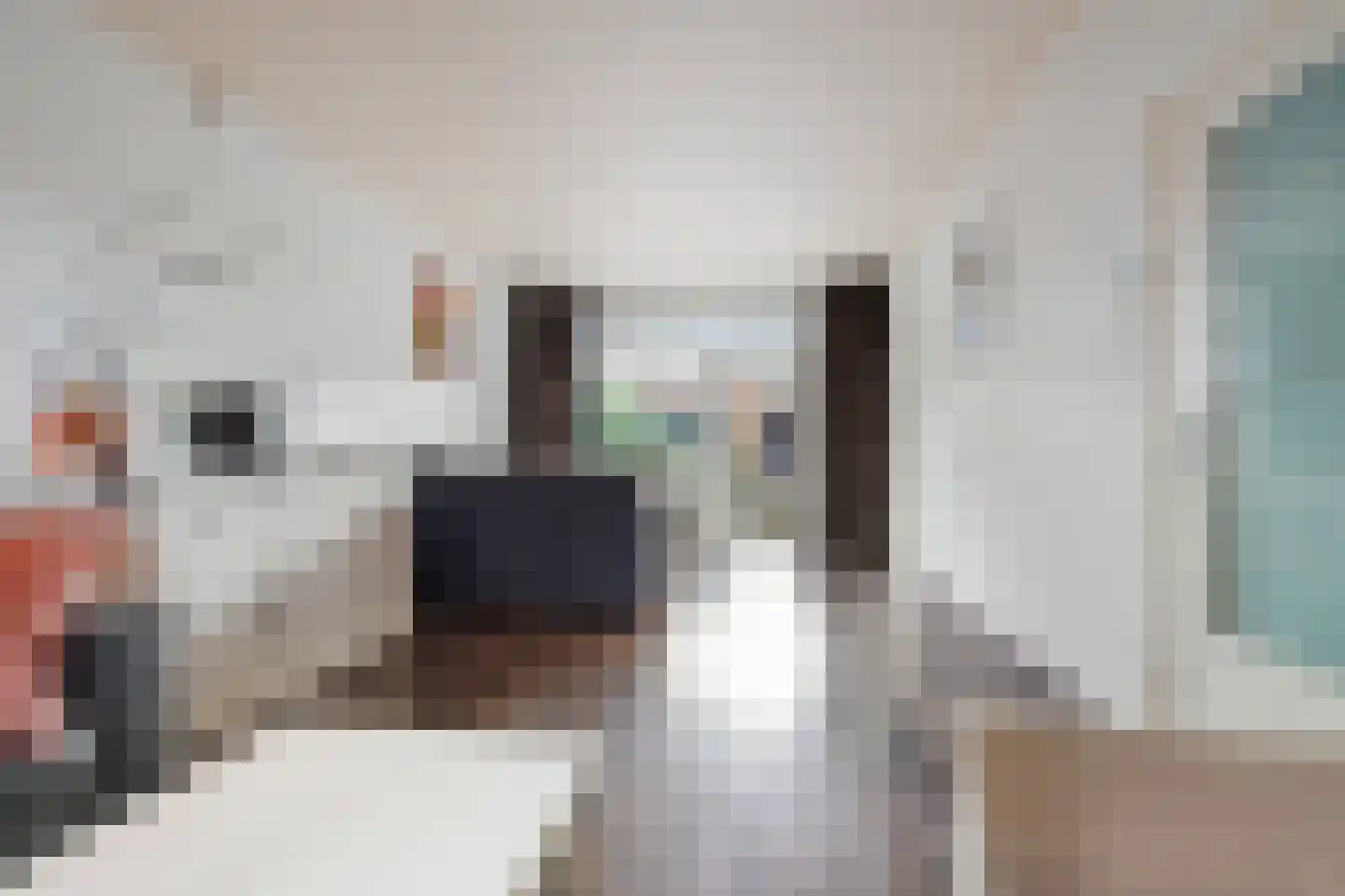 Lage Witsiebaan 252 Tilburg thumbnail 12