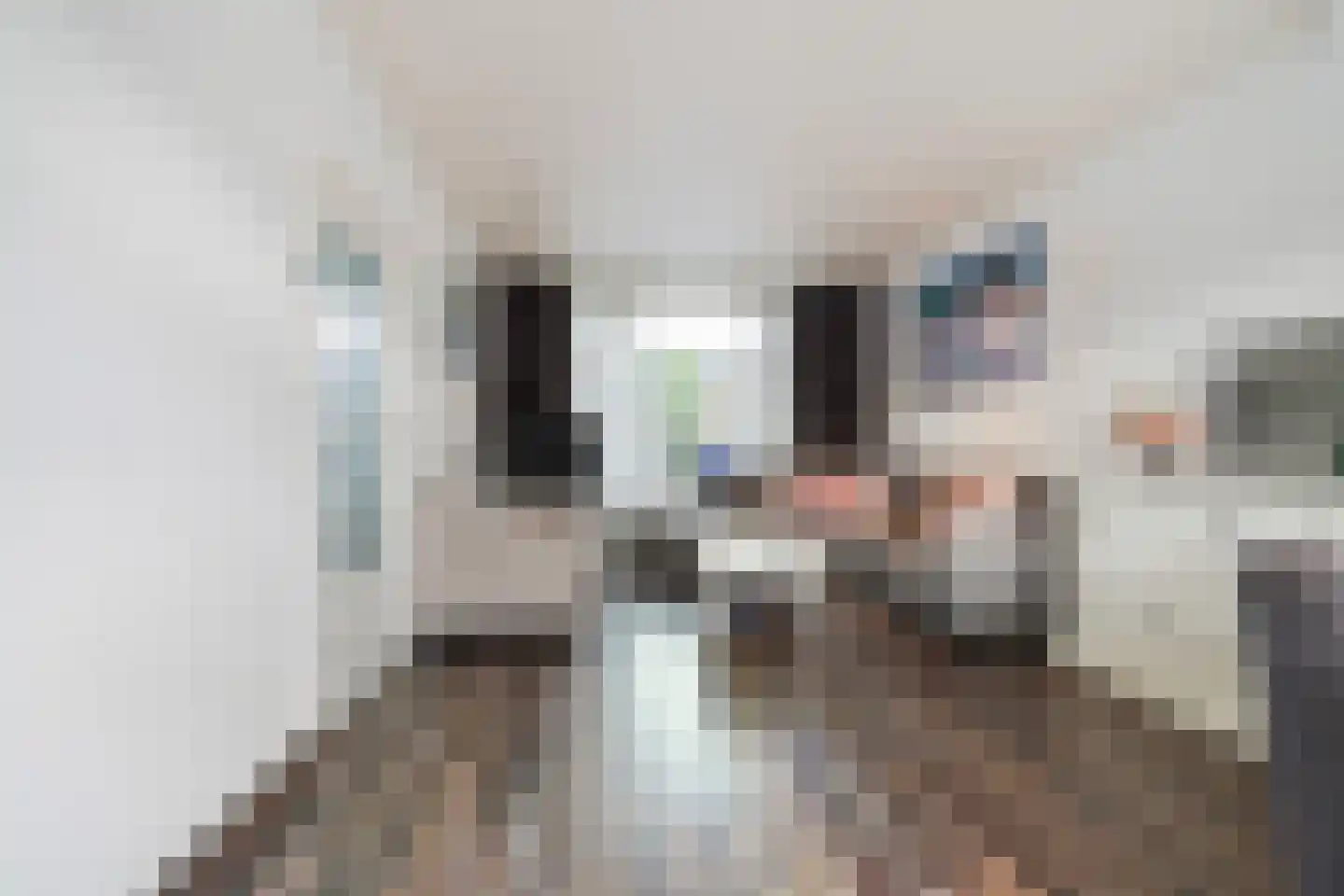Lage Witsiebaan 252 Tilburg thumbnail 13