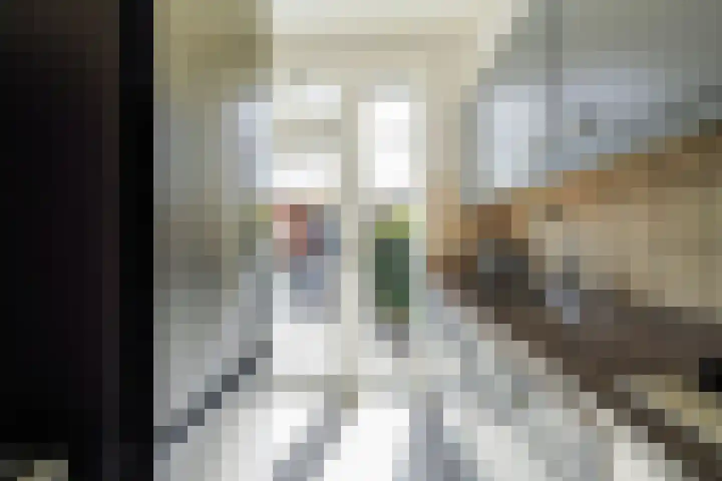 Lage Witsiebaan 252 Tilburg thumbnail 19